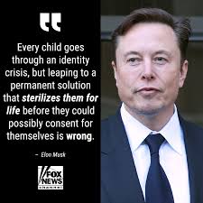 PLAIN AND SIMPLE': Elon Musk goes off