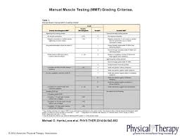 Manual Muscle Testing Chart Muscle Testing Training Course