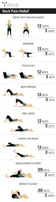 One should never experiment with lifting weights in order to avoid any kind of back injury. 14 Fitness Workouts Ideas Exercise At Home Workouts Fitness
