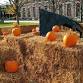 Indoor Pumpkin Patch event image