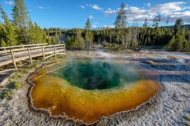 Image result for yellowstone  walkways