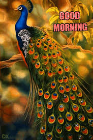 Animated good morning images birds. Pin By Vanamali Nair Nair On Gif Images Good Morning Gif Animation Good Morning Gif Images Good Morning Gif