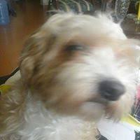 Leonard Stark (leonardstark)