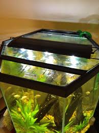 My Diy Glass Hexagon Aquarium Hood Diy Glass Diy Aquarium Aquarium Hood