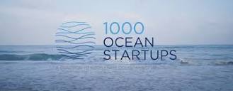 About Us | 1000 Ocean Startups