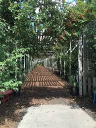 Join us at saskatoonmass.com or on either the holy family or diocese of saskatoon channel on youtube, depending on who is presiding. The Saskatoon Berry Farm De Winton 2021 All You Need To Know Before You Go With Photos Tripadvisor
