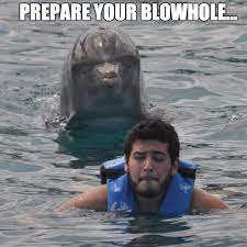 Prepare Your Blowhole Weknowmemes Very Funny Pictures Funny Pictures Best Funny Pictures