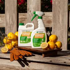 Check spelling or type a new query. Tampa Bay Inno Sarasota Gardening Company S Products Will Hit Shelves In More Than 1 000 Lowe S This Spring
