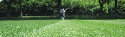 In kleinen mengen kann rasenschnitt nach dem mähen liegen bleiben. Mulchmahen Wellness Fur Den Rasen