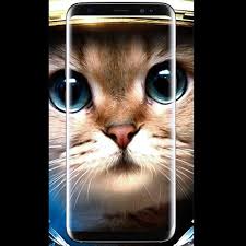 A new legacy fabio cannavaro mercedes benz w201 Cat Wallpaper 3d For Android Apk Download
