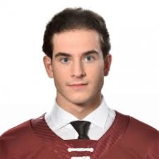 Jesse Fishman Official OHL Profile and Stats