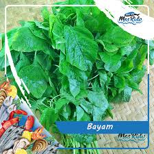 Check spelling or type a new query. Sayur Bayam Sayur Bayam Organik Sayur Bayam Fresh Premium Murah Shopee Indonesia