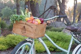 They're being sewn up for those that send me etsy. A Women S Cruiser Bike With Basket To Live The Dream