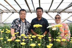 We did not find results for: Panen Bunga Krisan Kelompok Tani Rosalina Website Resmi Cianjur