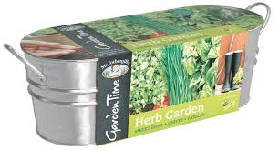 windowsill garden