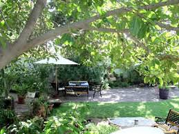 Start at off the rail for coffee drinks and breakfast goodies, lake street café for lunch, gesserts for ice cream, paddock club or the concourse restaurant for fine dining, and brown baer for drinks and live music. Gesserts Guest House Keetmanshoop Namibia