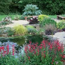 Natural Backyard Landscaping Ideas Save Money Creating Wildlife Friendly Garden Designs Backyard Landscaping Water Saving Landscape Tropical Landscaping