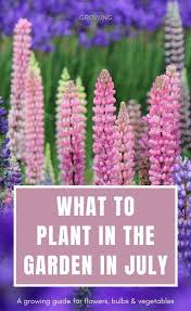 Maybe you would like to learn more about one of these? Gardening Calendar What To Plant In July Growing Family