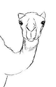 Please enter your email address receive free weekly tutorial in your email. How To Draw A Camel Step By Step For Kids Beginners