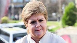 Seán Kelly approached to run in next General Election