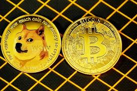 Free month with itrust capital. What Are Shiba Inu Coins And Why Did Their Price Go Up Chronicle Live