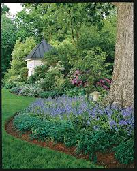 27 Fall Plants For Brilliant Seasonal Color In 2020 Fall Landscaping Fall Plants Plants