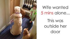 Dopl3r has all the entertainment with all kinds of memes, gifs and graphical jokes. 202 Parenting Memes That Will Make You Laugh So Hard It Will Wake Up Your Kids Bored Panda