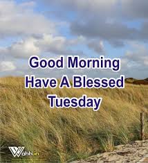 We did not find results for: Best 51 Good Morning Tuesday Tuesday Quotes Wishes Wahh