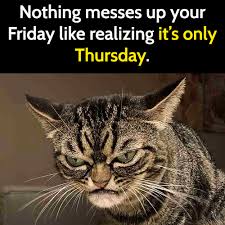 Tuesdays are for work and also for fun. Tuesday Memes Funny Work