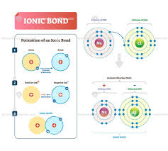 Ionic Bond Vector Illustration Infographic Diagram Ionic Bonding Teaching Chemistry Chemistry Classroom