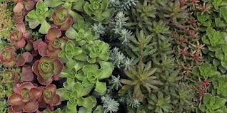 Image result
