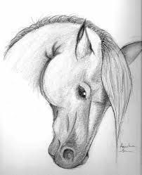 We did not find results for: Realistic Easy Drawing Horse Drawing With Crayons