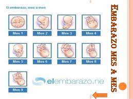 El Embarazo