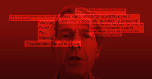 The ex-Pfizer scientist who became an anti-vax hero.