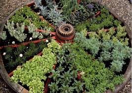 When designing an herb garden, you should consider how it will be used beforehand and plan accordingly. Small Vegetable Garden Ideas Round Vegetable Beds Patio Decorating Ideas Outdoor Herb Garden Medicinal Herbs Garden Herb Garden Design