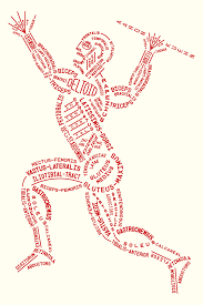 Typography By Aaron Kuehn Imgur Nursing Study Nurse Anatomy