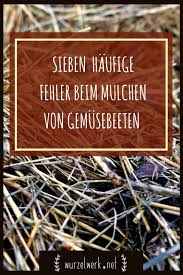 Gemusegarten Richtig Mulchen Meine Sieben Grossten Fehler Beim Mulchen Von Gemusebeeten Darauf Solltest Du Achten Wenn Mulchen Nutzgarten Anlegen Gemusebeet