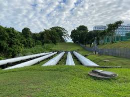 On monday 5th december 2011, 200 grade 8 students from united world college of south east asia, dover campus, singapore, walked the green corridor from bukit timah rail mall to ghim moh. The Green Corridor Singapur Aktuelle 2021 Lohnt Es Sich Mit Fotos