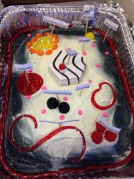 What is plant cell membrane made of. Plant Cell Model Cake So Yummy For The Class To Enjoy Cell Model Plant Cell Project Plant Cell Model