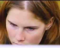 Is Amanda Knox guilty?