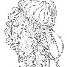 We did not find results for: Hi Good People If You Are Looking For Websites Giving Coloring File Like Jellyfish Ma Jellyfish Coloring Pages Jellyfish Coloring Page Mandala Coloring Pages