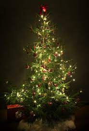 Christmas is round the corner and the festive mood has already set in. The 8 Basics Of Decorating Your Christmas Tree Online Star Register