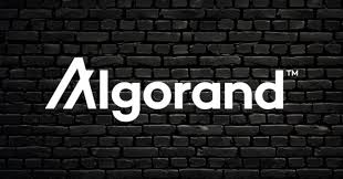 Before we get into algorand price prediction, let's take a look at the project itself. Sxxygcy4zoc4pm