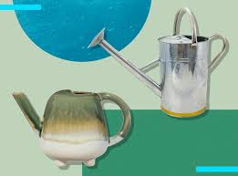 These charming watering vessels are perfect for indoor gardening. 1dbw3sk98zqvim