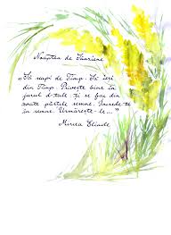 Mircea Eliade Noaptea De Sanziene Forbidden Forest To Get Rid Of Time To Escape Time Take A Good Look Around Yo Book Quotes Illustration Quotes Reading