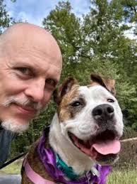 My Pet Loss Grief Journey Six Months In