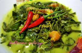 Pucuk Paku Masak Lemak Kuning Ini Adalah Bellarina Natasya