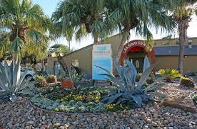 You have found big m pest control in new braunfels, corpus christi and mcallen tx! Marbella Apartments Corpus Christi Tx Apartments Com