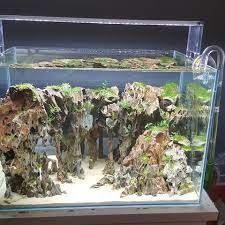 Resultado De Imagen De Aquascape Iwagumi Dragon Stones Aquapaisagismo Aquarios Aquario Plantado