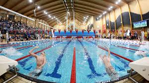 Para-swimmers taking part in development day in Plymouth